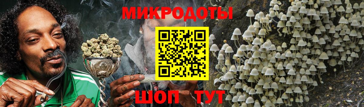 Галлюциногенные грибы мицелий  Вход с VPN  Галлюциногенные грибы Cubensis  Татарск 